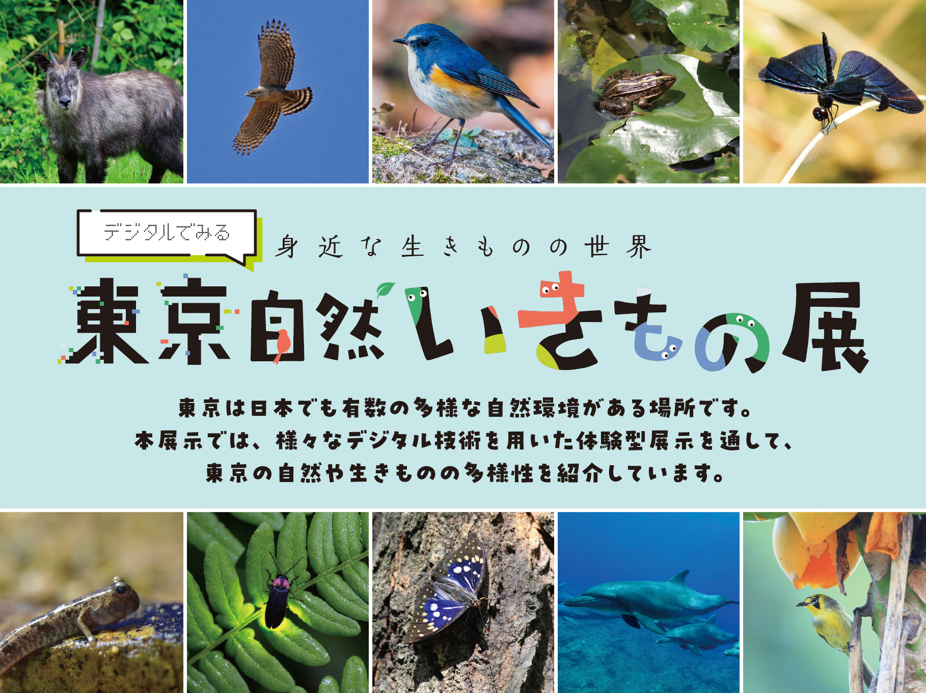 デジタルでみる「東京自然いきもの展」開催